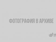 Катастрофа літака A321 компанії «Когалимавіа» стала найбільшою в історії російської авіації