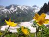 Naturaleza, plantas y animales de Karachay-Cherkessia.