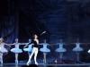 Buy tickets to Swan Lake Ramth Swan Lake