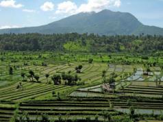 Férias em Bali com criança