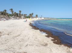 Tunisia lokker turister med trygghet Tunisia-øya Djerba September som ramme