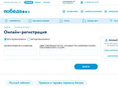 Terms and conditions of air transportation Pobeda Airlines check your ticket reservation